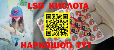 ГАЛЛЮЦИНОГЕННЫЕ ГРИБЫ Новозыбков