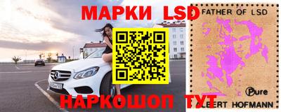 ГАЛЛЮЦИНОГЕННЫЕ ГРИБЫ Новозыбков
