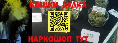 МДПВ Новодвинск