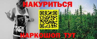 ГАЛЛЮЦИНОГЕННЫЕ ГРИБЫ Новозыбков