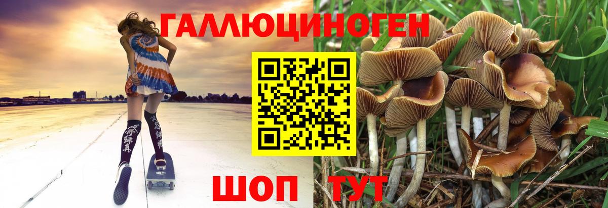 Тихвин  Галлюциногенные грибы прущие грибы  даркнет сайт  Вход с VPN 